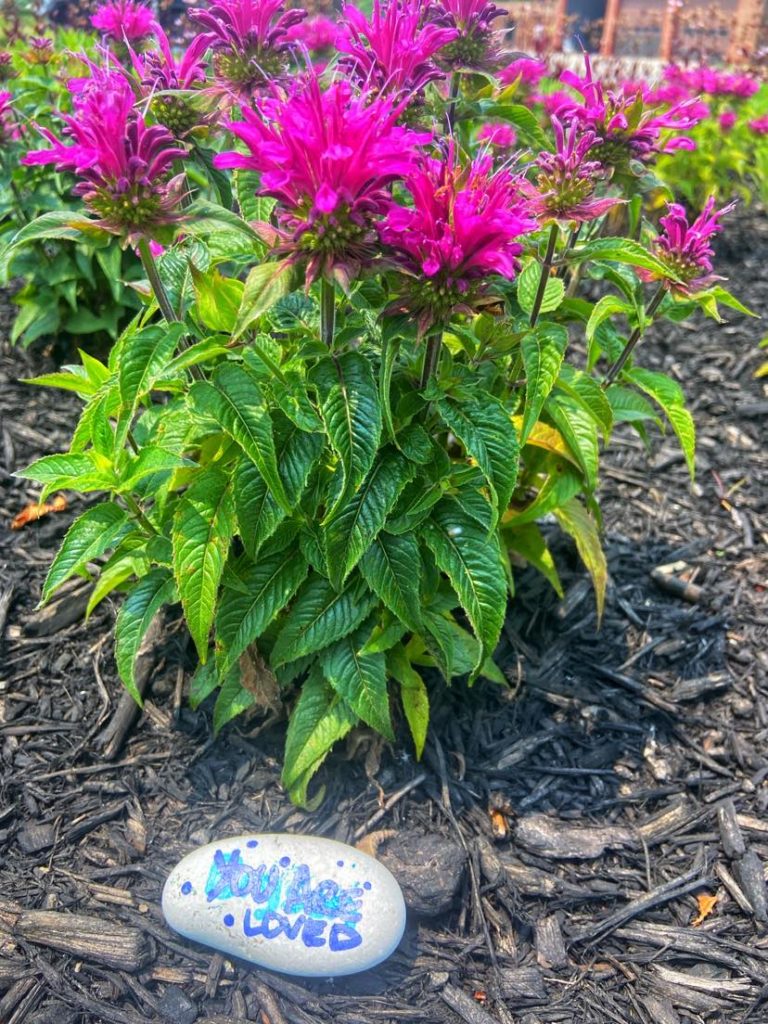 A pale, oblong rock sits in the mulch in front of a shrub of pink flowers. "You are loved" is painted on the rock.